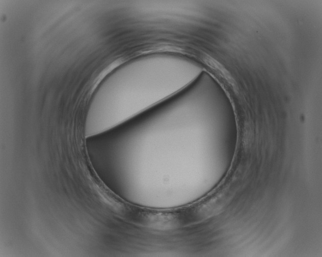 X0000088681321200705311014