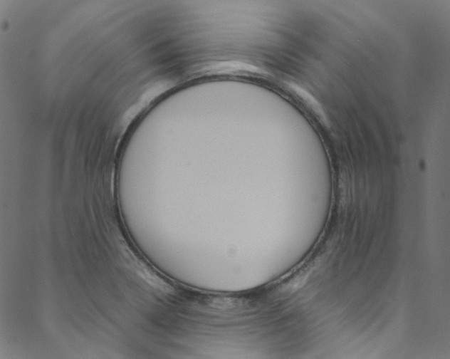 X0000088681322200705311014