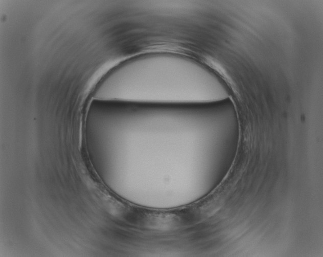 X0000088681323200705311014
