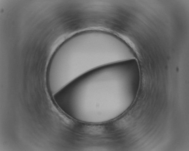 X0000088681327200705311014