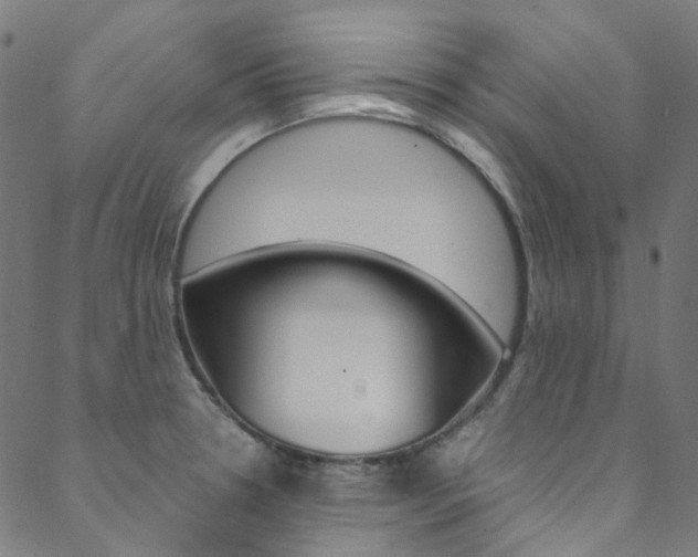 X0000088681330200705311014
