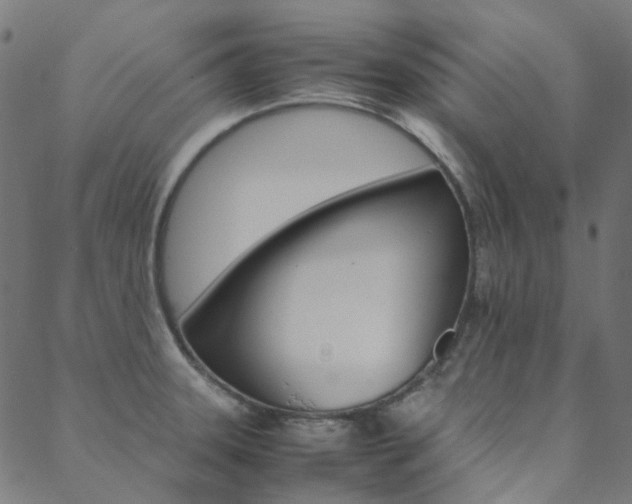 X0000088681331200705311014