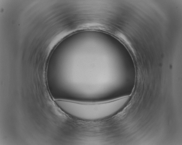 X0000088681336200705311014