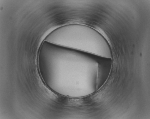 X0000088681339200705311014