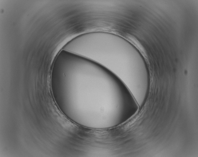 X0000088681340200705311014