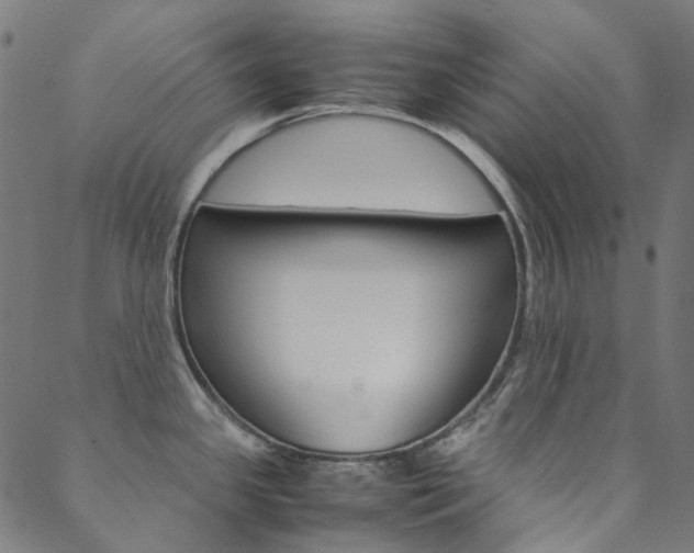 X0000088681341200705311014