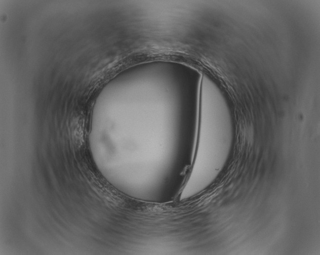 X0000088681348200705311013