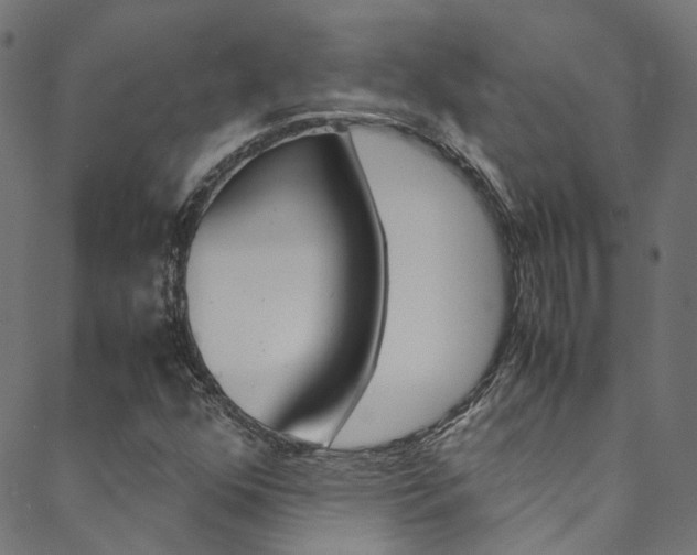 X0000088681352200705311013