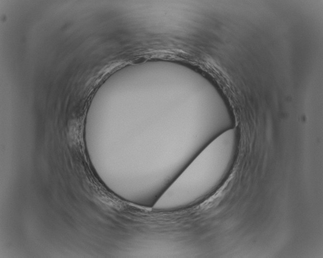 X0000088681353200705311013