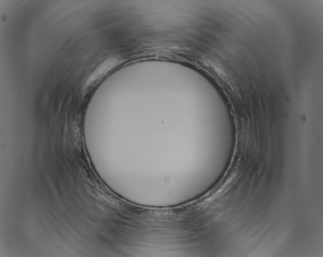 X0000088681354200705311013