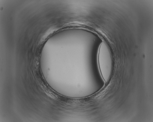 X0000088681355200705311013