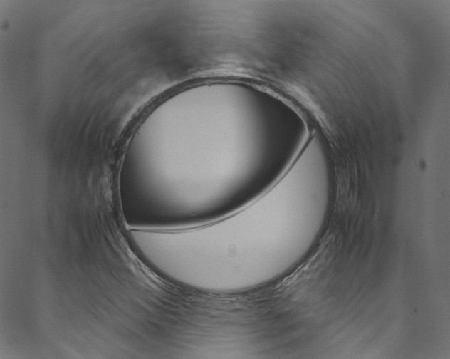 X0000088681356200705311013