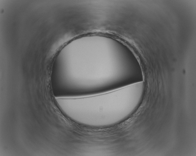 X0000088681359200705311013