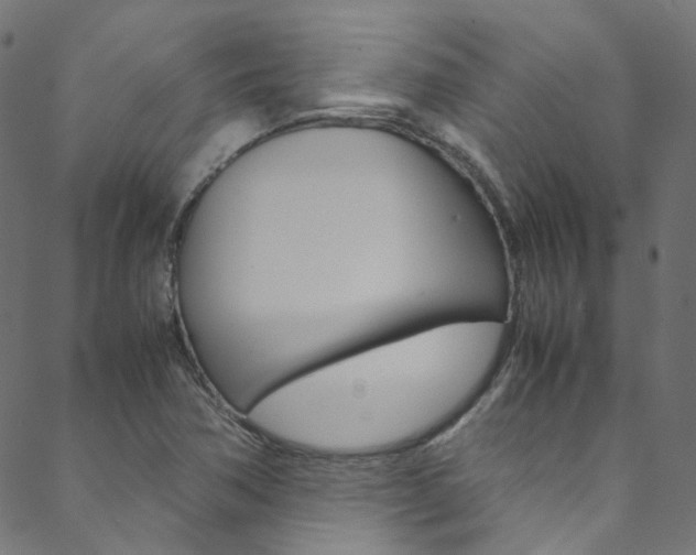 X0000088681362200705311013