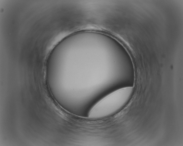 X0000088681367200705311013