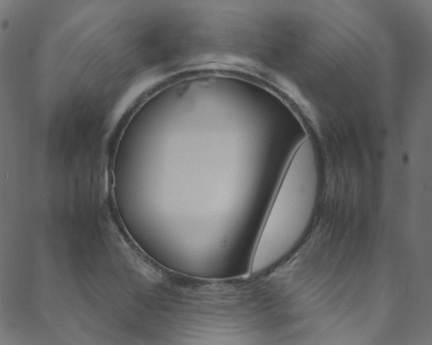 X0000088681368200705311013