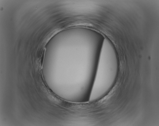 X0000088681369200705311013