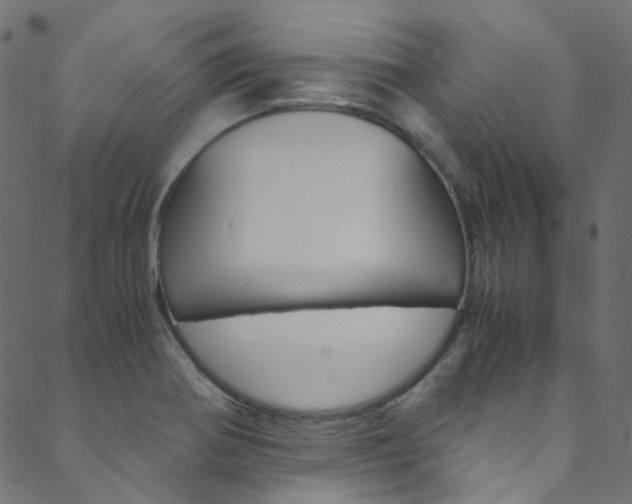 X0000088681370200705311013