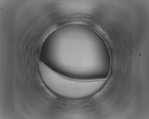X0000088681377200705311013
