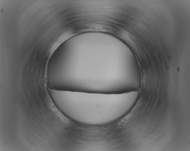 X0000088681378200705311013