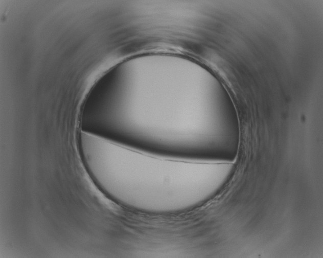 X0000088681379200705311013