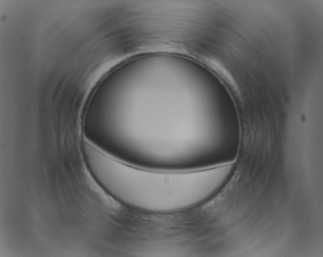 X0000088681380200705311013