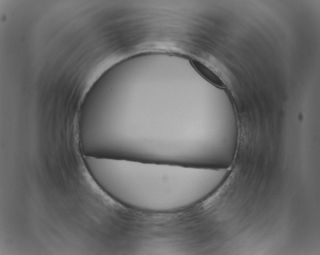 X0000088681382200705311013
