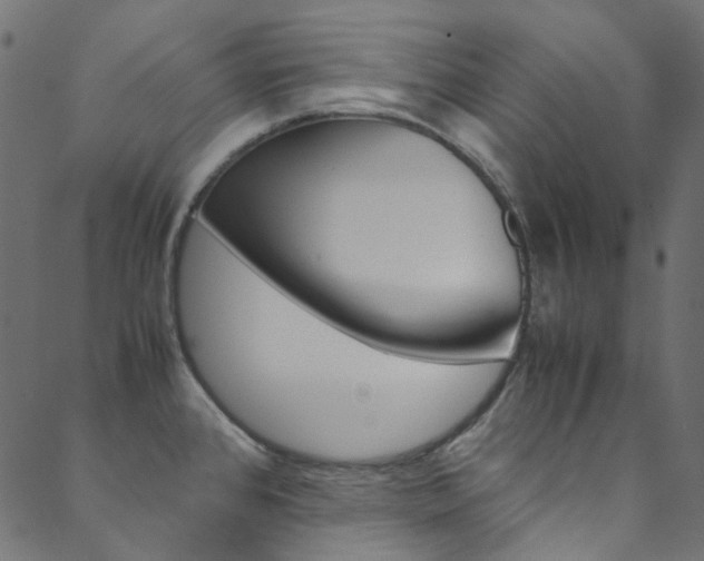 X0000088681384200705311013