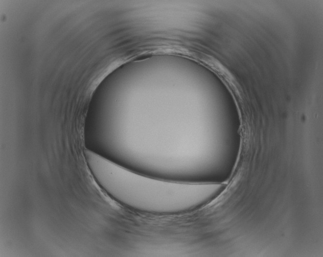 X0000088681385200705311013
