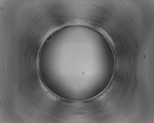 X0000088681388200705311013