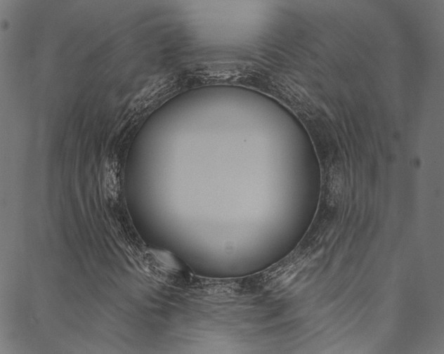 X0000088681394200705311012