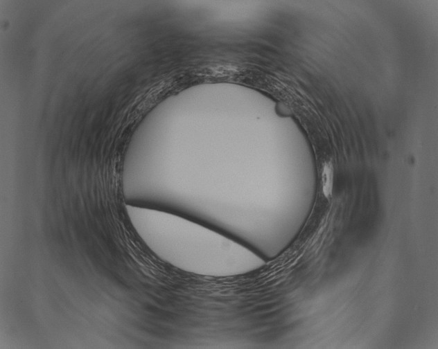 X0000088681395200705311012