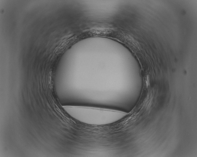 X0000088681396200705311012