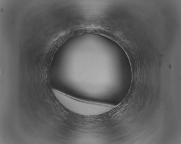 X0000088681398200705311012