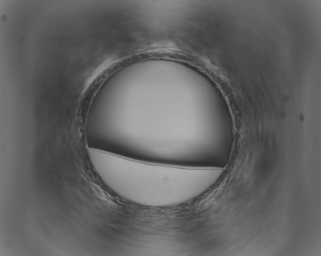 X0000088681400200705311012