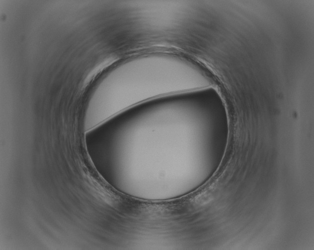 X0000088681402200705311012