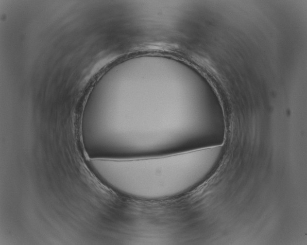 X0000088681404200705311012