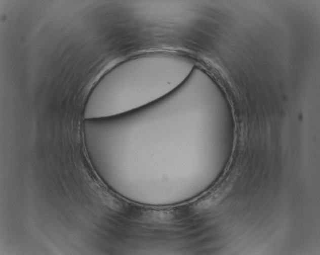 X0000088681409200705311012