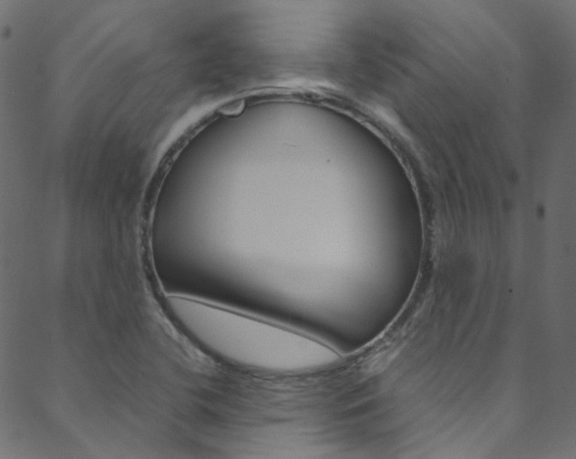 X0000088681412200705311012