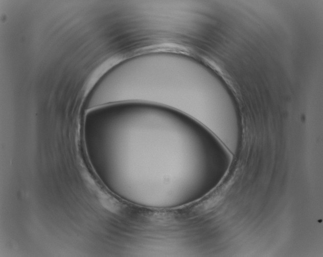 X0000088681418200705311012
