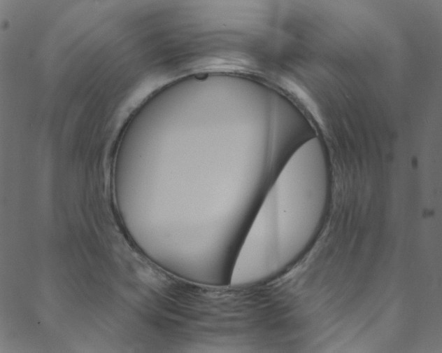 X0000088681419200705311012