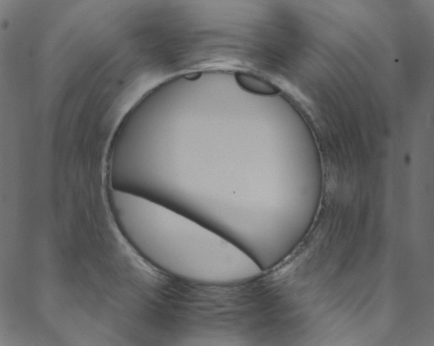 X0000088681423200705311012
