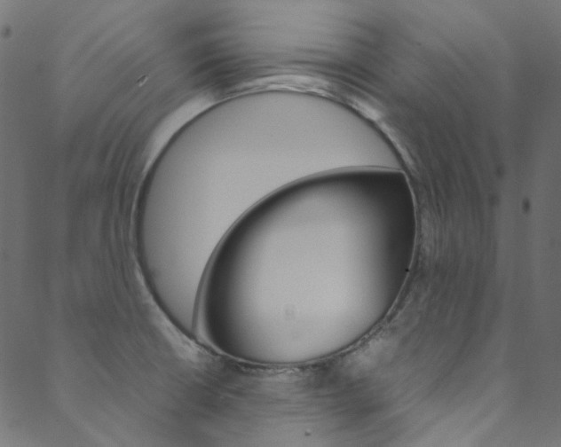 X0000088681426200705311012