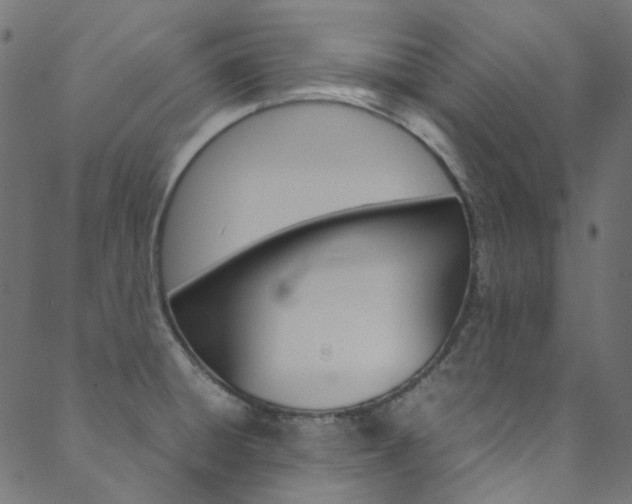 X0000088681428200705311012