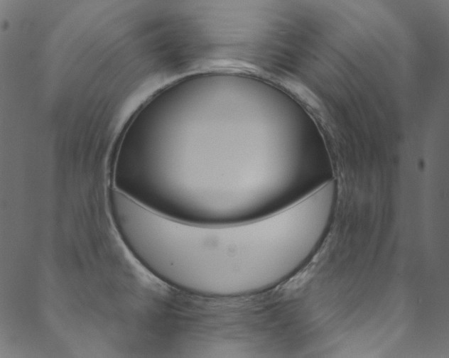 X0000088681430200705311012