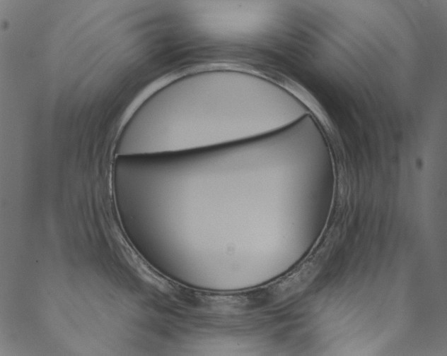 X0000088681436200705311013