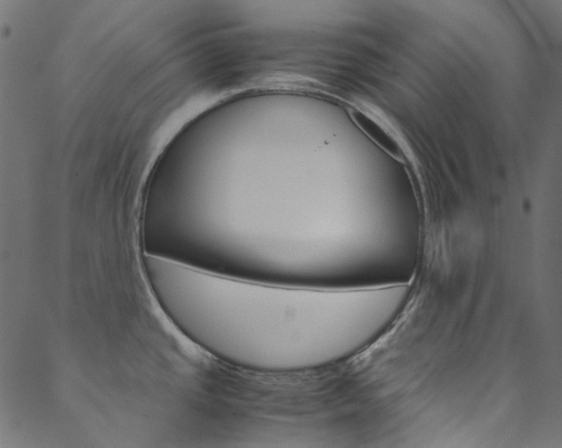 X0000088681437200705311013