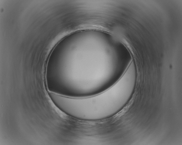 X0000088681438200705311013