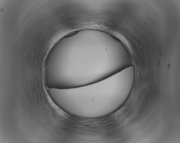 X0000088681439200705311013