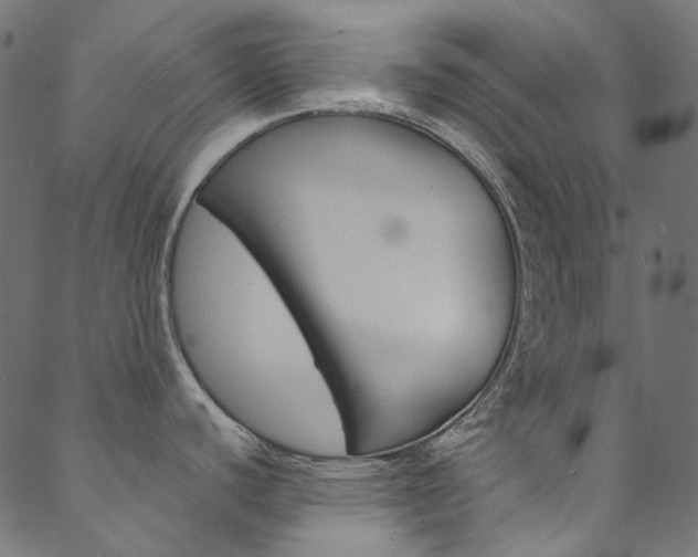 X0000088681440200705311013